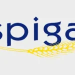 spiga